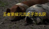 王者荣耀元流之子怎么获得